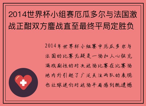 2014世界杯小组赛厄瓜多尔与法国激战正酣双方鏖战直至最终平局定胜负