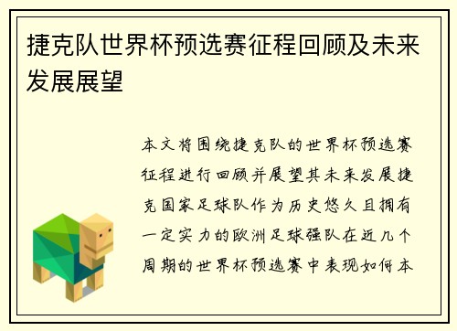 捷克队世界杯预选赛征程回顾及未来发展展望